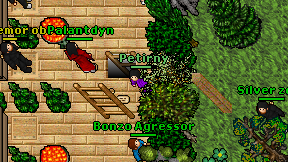 Petirny on screen