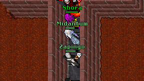 Zapingo on screen