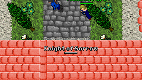 Knight of Sorrow on screen