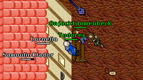 Tudores on screen