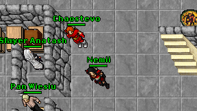 Nemii on screen