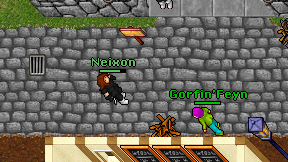 Neixon on screen