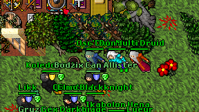 Multi Druid on screen