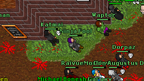 Ninja Fool on screen