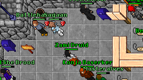 Zami Druid on screen