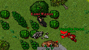 Kami Wasus on screen