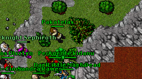 Pakatelas on screen
