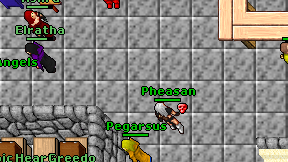 Pheasan on screen