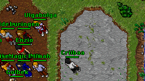 Criibaa on screen