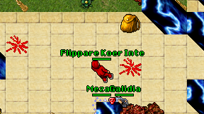 Flippare Koer Inte on screen
