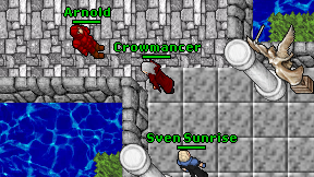 Crowmancer on screen