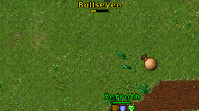 Bullseyee on screen