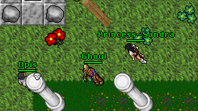 Princess-Sandra on screen