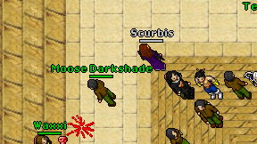 Scurbis on screen