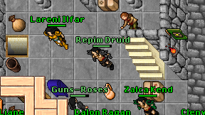 Repim Druid on screen