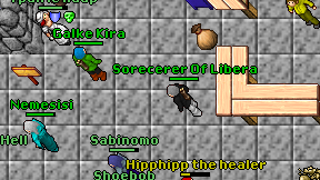 Sorecerer Of Libera on screen