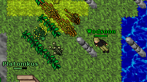Wodsoon on screen
