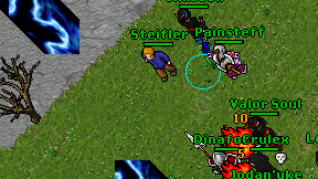Steifler on screen