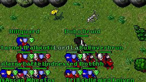 Dubo Druid on screen