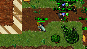 Misaou on screen