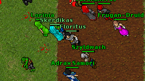 Floritus on screen
