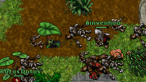 Ainvenhou on screen