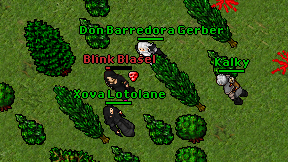 Blink Blasel on screen
