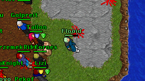 Flooid on screen
