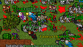Druid Karakan on screen