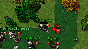 Scogroc on screen