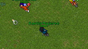 Rastin Majeree on screen