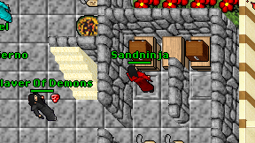 Sandninja on screen