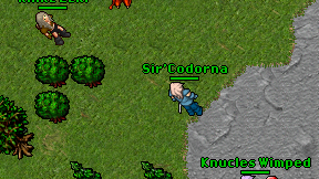 Sir'Codorna on screen