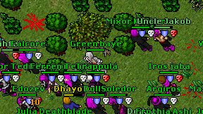 Green baye on screen