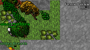 Fenix Darkmaison on screen