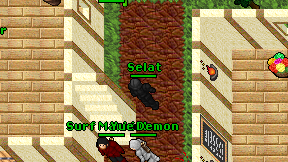 Selat on screen
