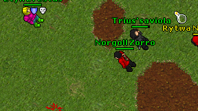 Norgoll Zorro on screen