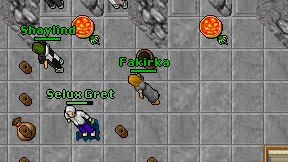 Fakirka on screen