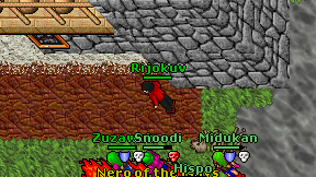 Rijokuv on screen