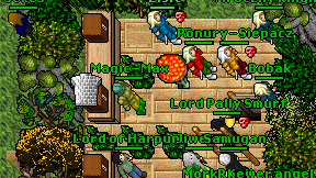 Magic-Max on screen