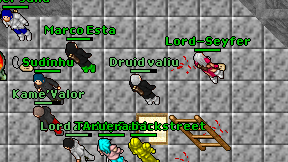 Druid valiu on screen