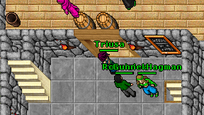 Triusa on screen