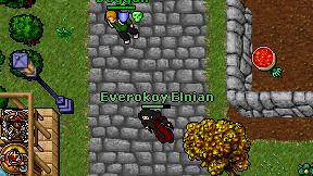 Everokoy Elnian on screen