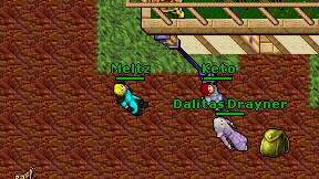 Meltz on screen