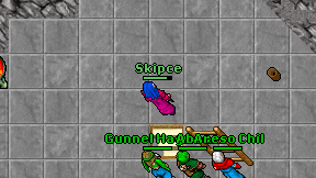 Skipce on screen