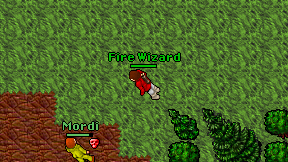Fire Wizard on screen