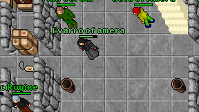 Evarro of amera on screen