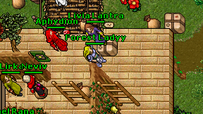 Forest Ladyy on screen