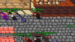 Kactus on screen