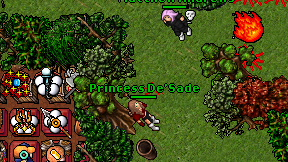 Princess De'Sade on screen